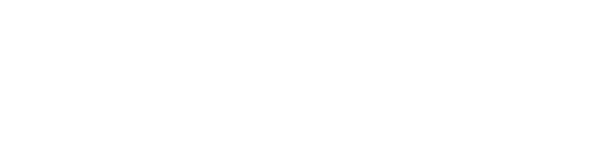 VIT wiseit-logo (2)-1